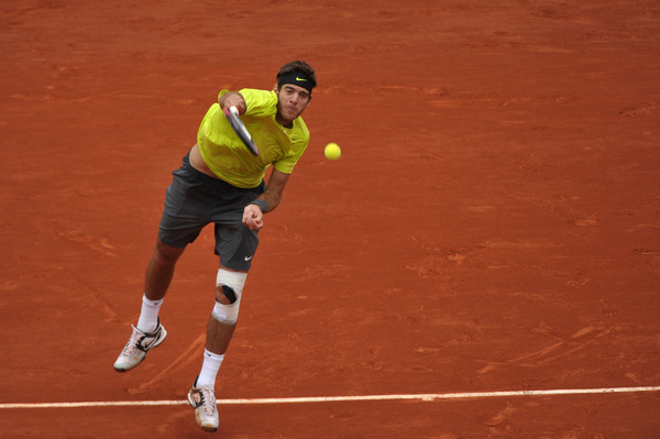 delpotro 2